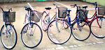 rent_cycle.png